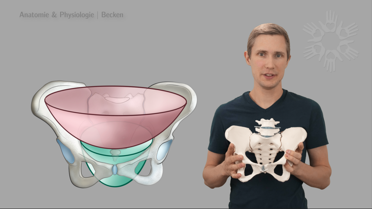 Geburtsvorbereitungskurs online | Vorschaubild Anatomie & Physiologie