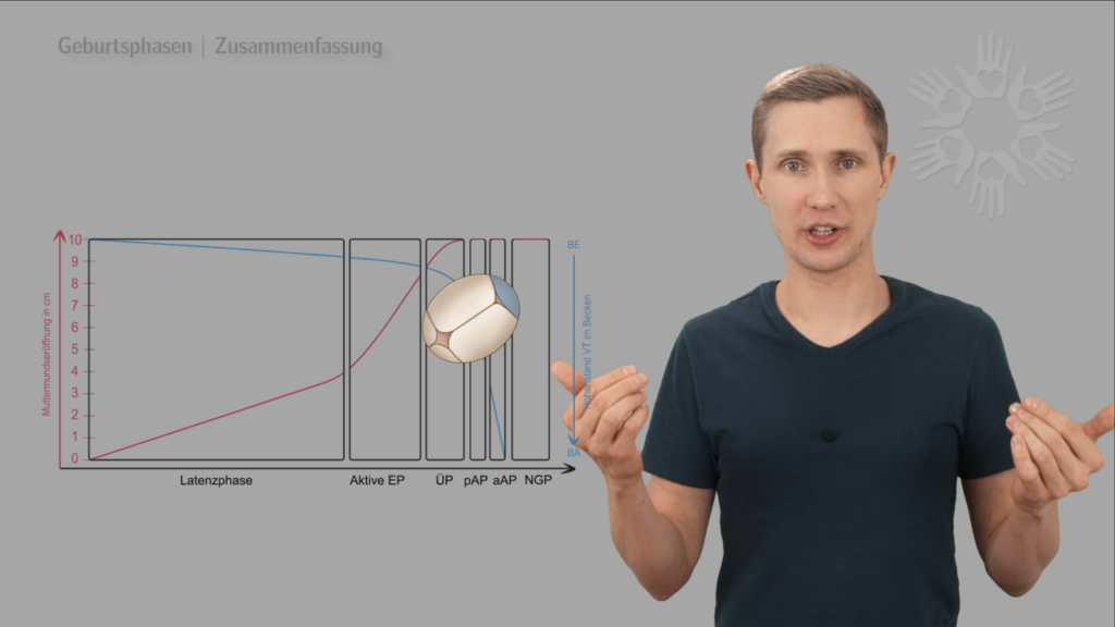 Geburtsvorbereitungskurs online | Vorschaubild Geburtsphasen